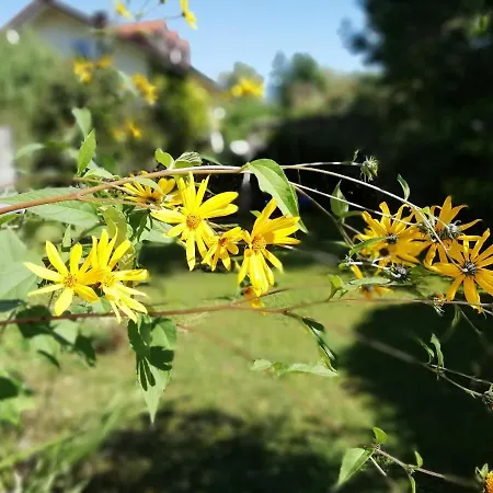 Happy Place In Traumhafter Lage Nah Apartment Utting am Ammersee